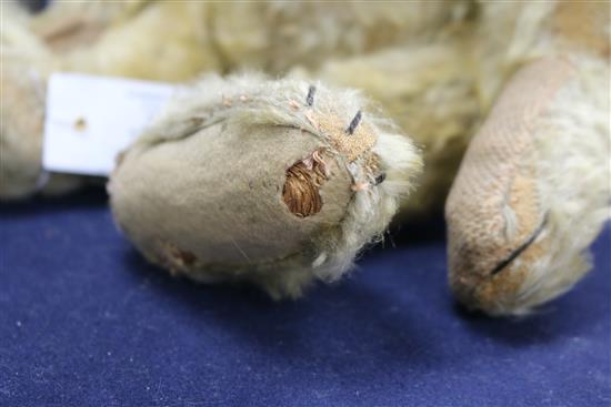 A Steiff centre seam bear, c.1908, replaced paw pads, hair loss to body, arms and legs, 20in.